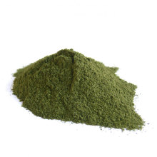 Best-price wholesale organic Alfalfa grass powder